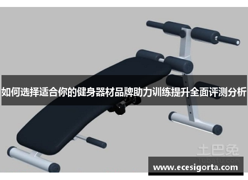 如何选择适合你的健身器材品牌助力训练提升全面评测分析