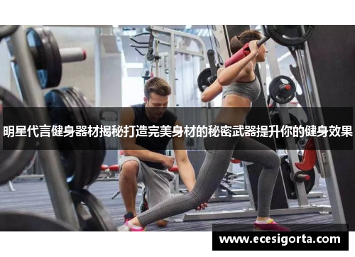 明星代言健身器材揭秘打造完美身材的秘密武器提升你的健身效果