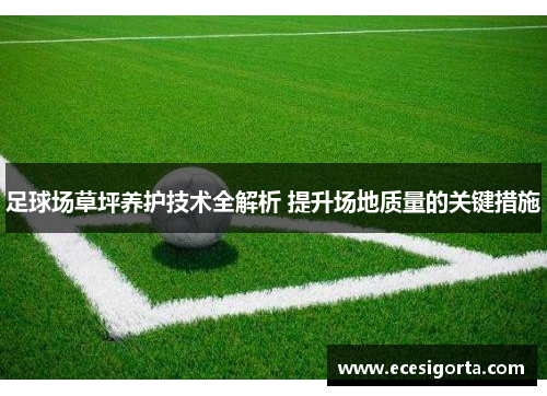 足球场草坪养护技术全解析 提升场地质量的关键措施