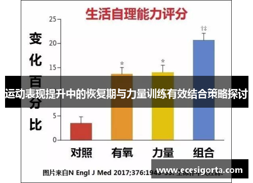 运动表现提升中的恢复期与力量训练有效结合策略探讨