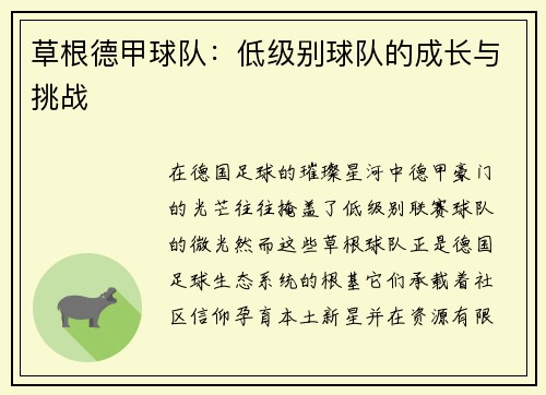草根德甲球队：低级别球队的成长与挑战