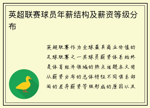 英超联赛球员年薪结构及薪资等级分布